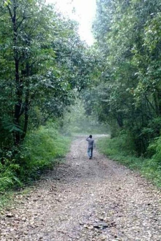 A day hiking from Kathmandu: Phulchowki Hill - Why Phulchowki makes a good Kathmandu escape