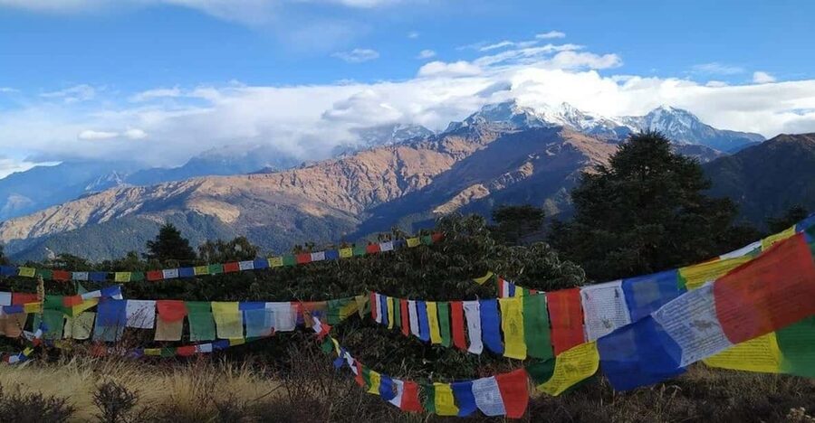 A day hiking from Kathmandu: Phulchowki Hill - Reaching the 2,762-meter summit
