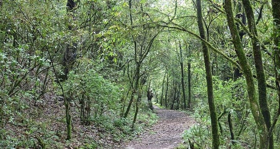 A day hiking from Kathmandu: Phulchowki Hill - The descent and the real question of duration