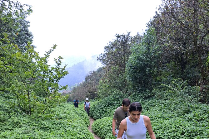 Amazing 1 Day Trekking Experience in Kathmandu Nepal - Walking through the hills toward Champadevi