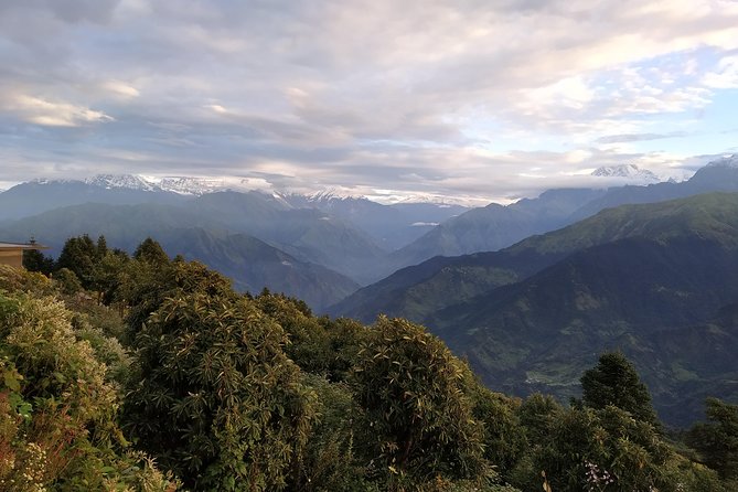 Annapurna: 2 Days 1 Night Poon Hill Trekking - Day two: the sunrise walk to Poon Hill