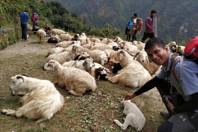 Annapurna: 2 Days 1 Night Poon Hill Trekking - Ghorepani overnight: simple lodging with a practical purpose