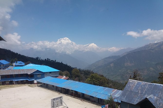Annapurna: 2 Days Poon Hill Trek from Pokhara - The stairway through rhododendron forest