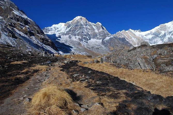 Annapurna Base Camp, Nepal 10 days - Day 4: Stone steps, a bridge, and forest toward Sinuwa