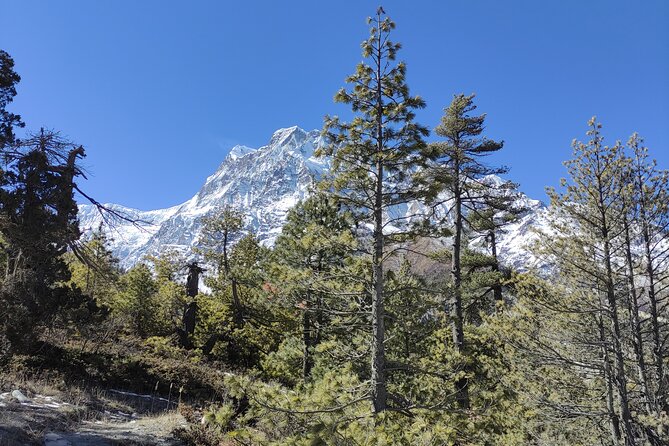 Annapurna Base Camp Trek - 10 Days - Key points at a glance