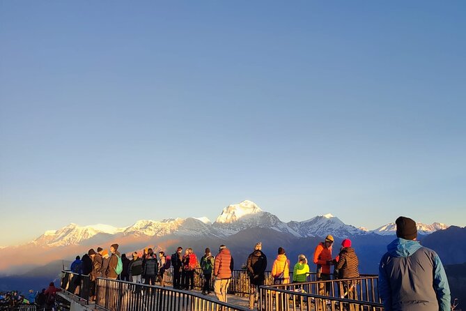 Annapurna Base Camp Trek 12 Days - Day 7: Sinuwa to Bamboo, Deurali, and higher ground