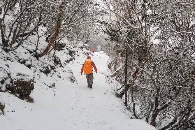 Annapurna base camp trek 5 Days - Tea Houses, Meals, and Mountain Comfort