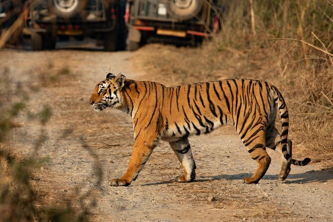Annapurna Base Camp Trek - Tadapani and Chhomrong: A Change in the Trail