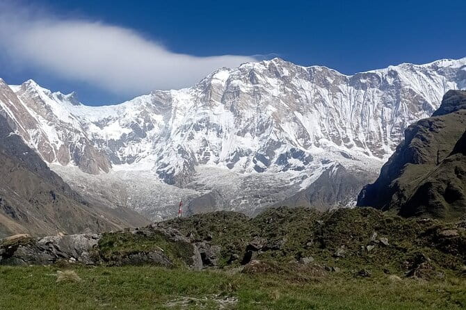 Annapurna Base Camp Trek - Stone Steps, Bamboo, and a Quiet Forest