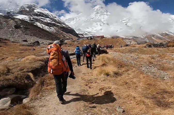 Annapurna Base Camp Trek from Pokhara and Kathmandu - Day 3: Chhomrong to Dovan through rhododendron forest