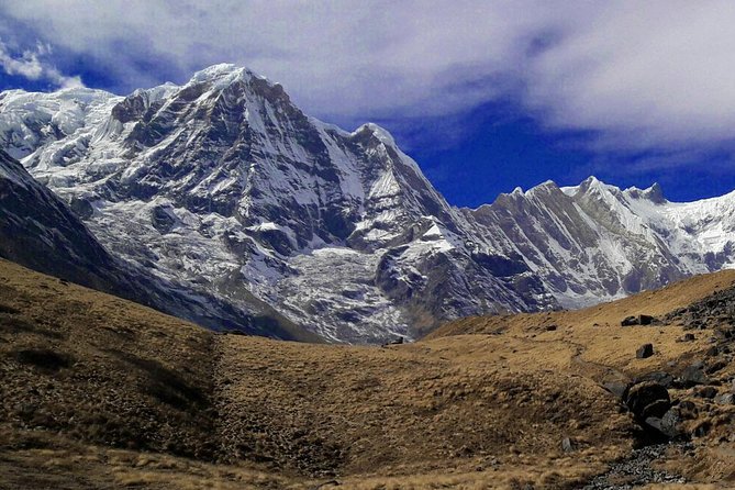 Annapurna Base Camp Trekking - Day 5: Chuile and Sinuwa through the forest