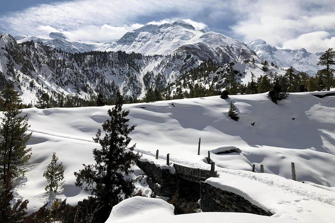 Annapurna Circuit Trek - Manang to Thorung Phedi and High-Altitude Lodges