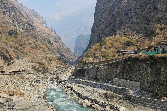 Annapurna Circuit Trek with Tilicho Lake (16 Days) - Days 10 and 11: Yak Kharka to Thorong Phedi