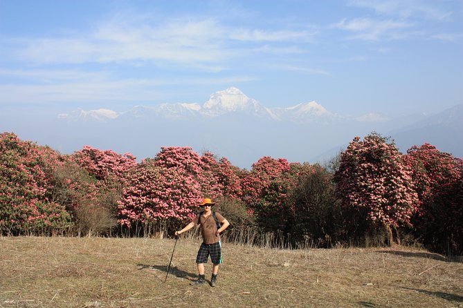 Annapurna Poon Hill Trekking - 4 Days from Pokhara - Day One: Nayapol to Ghandruk