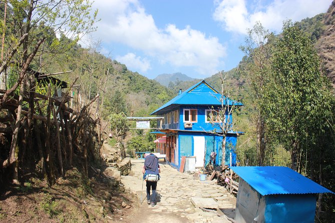 Annapurna Poon Hill Trekking - 4 Days from Pokhara - Day Three: Tadapani to Ghorepani