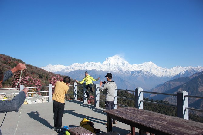 Annapurna Poon Hill Trekking - 4 Days from Pokhara - Day Four: The Poon Hill Sunrise