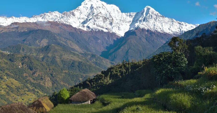 Australian Base Camp Day Hike From Pokhara - Guide quality makes a real difference