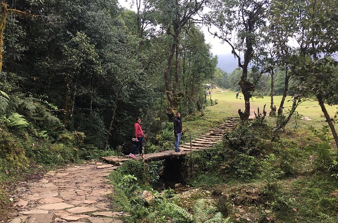 Australian Camp and Dhampus easy hiking - Dhampus and its Gurung village setting