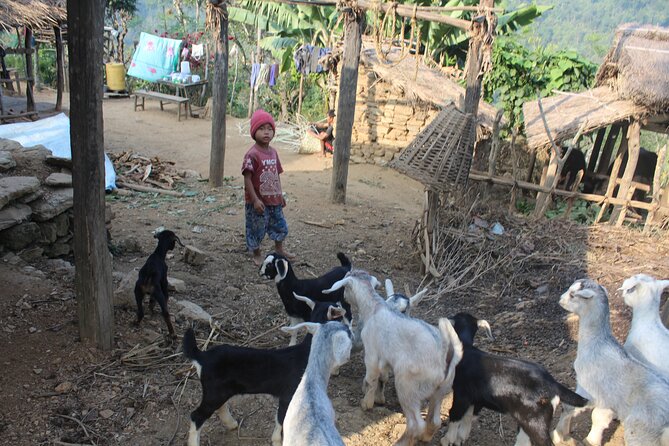 Bandipur to Ramkot full day with local guide full day - Who will enjoy this walk most