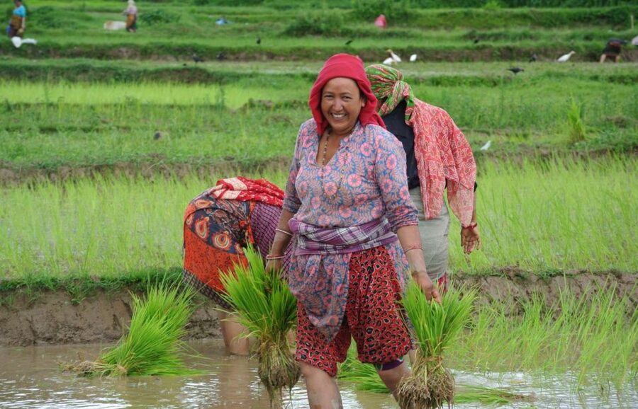 Best of Nepal & Bhutan Tour।spectacular view । 14 Days Tour - Kathmandu: seven UNESCO sites in two days