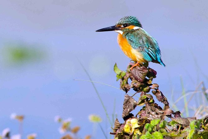 Best of Nepal Luxury Adventure Tour Package - 9 Days - Six Details That Shape the Trip