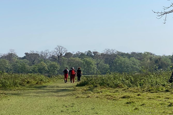 Canoeing and Nature Walk in Chitwan National Park - Starting on the Rapti River