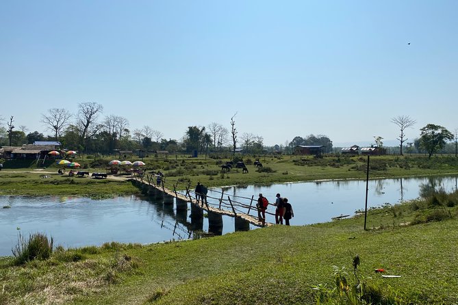 Canoeing and Nature Walk in Chitwan National Park - What the guide adds