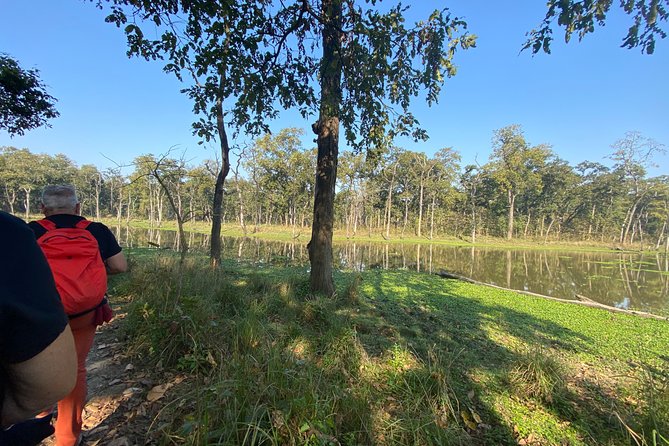 Canoeing and Nature Walk in Chitwan National Park - Walking into Chitwan’s forest