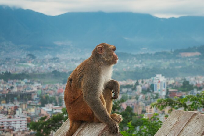 Chandragiri Cable Car Ride and Half Day Kathmandu Sightseeing - Seeing Swayambhunath, Kathmandu’s hilltop stupa