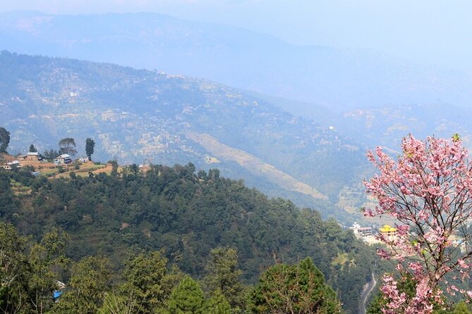 Changunarayan Hill to Telkot Hike Near Kathmandu Day Tour - Is $95 good value?