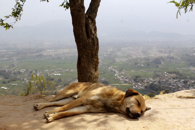 Changunarayan Hill to Telkot Hike Near Kathmandu Day Tour - Lunch is a local pause, not a full meal package