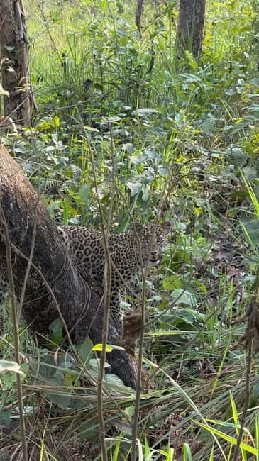 Chitwan: 2 Full day jungle walk with Canoeing all inclusive - Two days on foot in Chitwan National Park