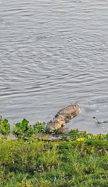 Chitwan: 2 Full day jungle walk with Canoeing all inclusive - One hour by canoe on the Rapti River