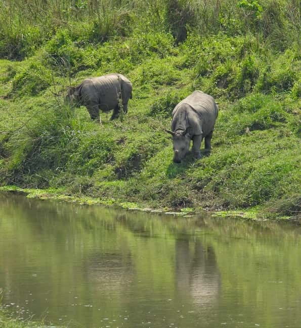 Chitwan: Full-Day Safari Canoeing and Jungle Walk and Jeep - At a Glance: Six Things Worth Knowing