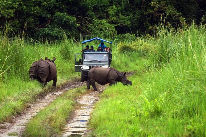 Chitwan Jungle Safari 3-Day Tour - Day 2 begins with birds, water, and a nature walk