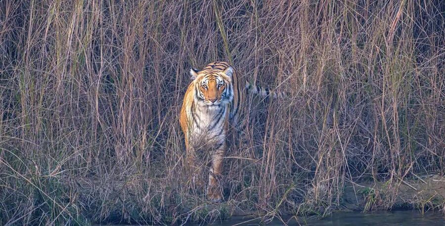 Chitwan Jungle Safari 3 Days- From Kathmandu or Pokhara - Canoeing on the Rapti River