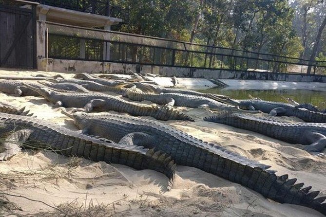 Chitwan Jungle Safari All-Inclusive Package from Kathmandu - Sunset beside the Narayani River