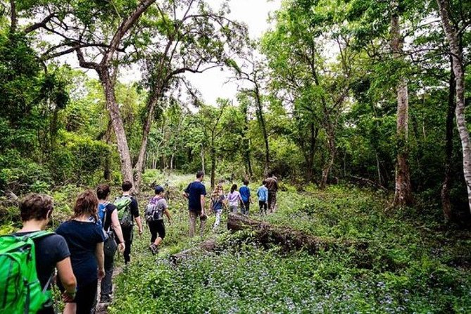 Chitwan Jungle Safari All-Inclusive Package from Kathmandu - The longer jeep drive into the park