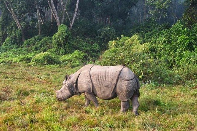 Chitwan Jungle Safari All-Inclusive Package from Kathmandu - The bus ride from Kathmandu to Chitwan
