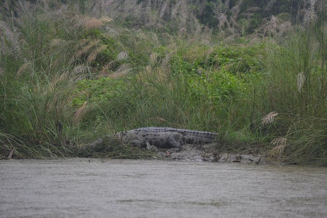 Chitwan Jungle Safari - exotic 2N3D Wildlife Safari Tour - Group Size, Transport, and Daily Comfort