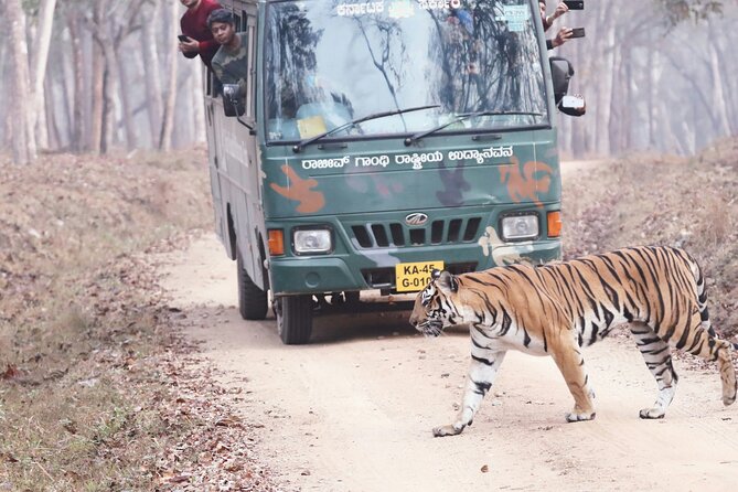 Chitwan jungle safari with canoe river ride - Day one: Tharu culture, dinner, and your first taste of Chitwan