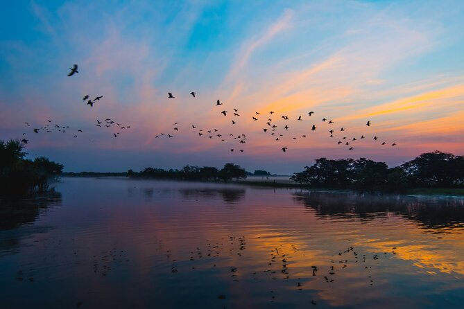 Chitwan jungle safari with canoe river ride - Wildlife expectations: enjoy the search, not just the checklist