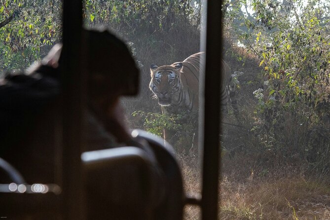 Chitwan jungle safari with canoe river ride - Tharu culture adds meaning to the park visit