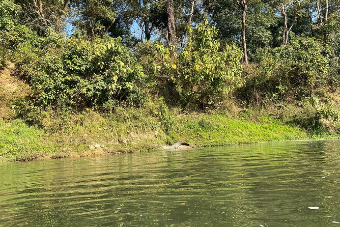 Chitwan Jungle Safari with Overnight Stay - Key points to know before you book