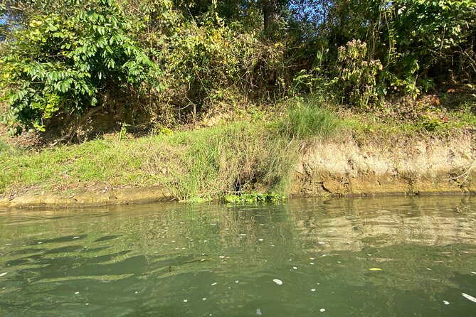 Chitwan Jungle Safari with Overnight Stay - The overnight resort: simple, clean, and useful