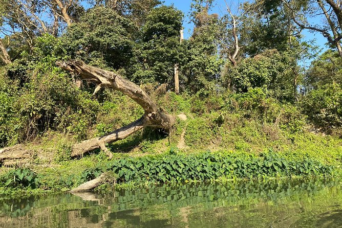Chitwan Jungle Safari with Overnight Stay - Leaving Chitwan after breakfast