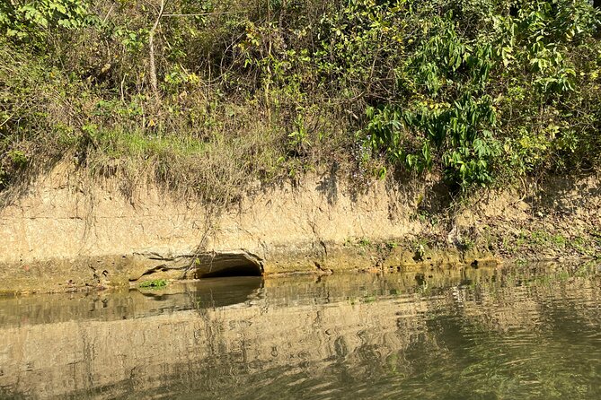 Chitwan Jungle Safari with Overnight Stay - What the $97.44 price includes