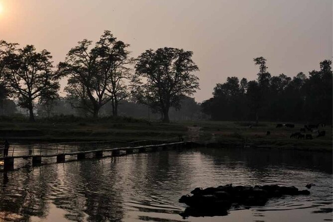 Chitwan National Park Jungle Safari Tours 3 days - What the $199 price really covers