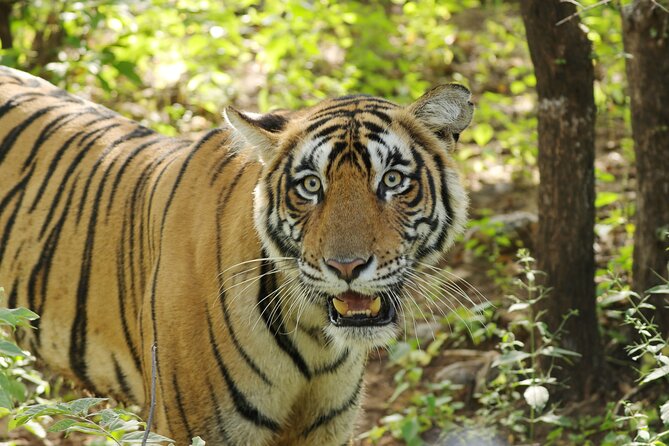 Chitwan National Park Tour - From Kathmandu to Chitwan by tourist bus