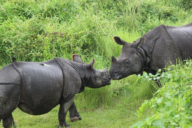 Chitwan National Park Tour - Is $144 good value?